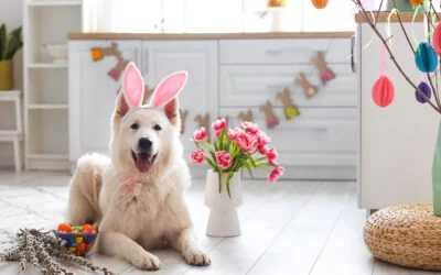 BUONA PASQUA